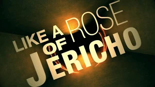 Treat - "Rose Of Jericho" (Official Lyric Video)