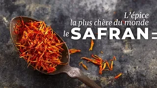 Le Safran : l'épice la plus convoitée du monde