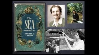 Rachel Carson's Legacy: The Silent Spring Series - Exploring Ethics