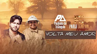 Volta meu amor - Paulinho do Triângulo e Paulo Sampaio (Clipe não oficial)