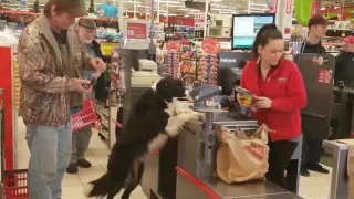 Dog Picks Out Own Treats