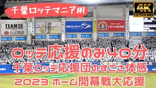 【編集用】まるごと40分千葉ロッテ応援だけ～マニア用2023年マリンスタジアムホーム開幕戦 コロナ禍明けの最初の応援（撮影したものをただつなげただけの動画）