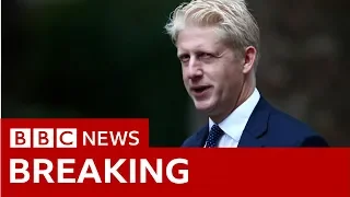 PM's brother quits as Tory MP and minister - BBC News