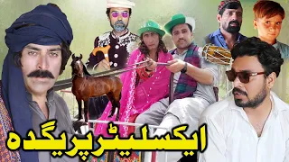 Excelater Pregda Funny Video By Zalmi Vines 2021