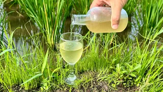 How to Make Strong RICE WINE
