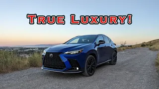 2022 Lexus NX 350 F Sport On The Throttle Review
