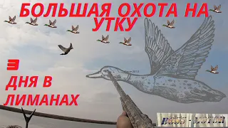 ОХОТА НА УТКУ! 3 ДНЯ В ЛИМАНАХ..