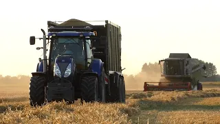 ☆ Żniwa 2022 ☆ Jęczmień ☆ 2x Claas ☆ New Holland ☆ Ursus ☆ Rwks Dębno ☆