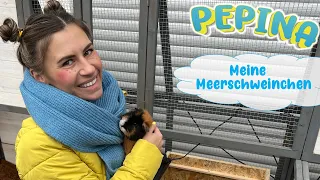 🐾 Pepinas Meerschweinchen 🔍 Käfig misten, füttern & streicheln