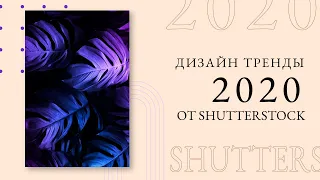 Дизайн тренды 2020. Визуальные тренды от shutterstock