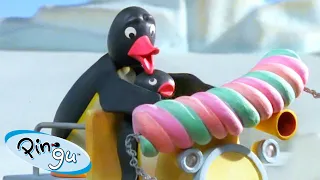 Pingu Getting into Mischief 🐧 | Pingu - Official Channel | Cartoons For Kids