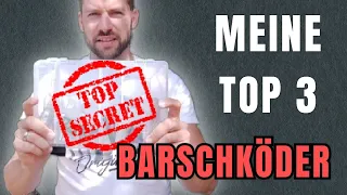 TOP 3 BARSCHKÖDER - Mit diesen Ködern fängst auch du!!! #barsch #perch #fishing