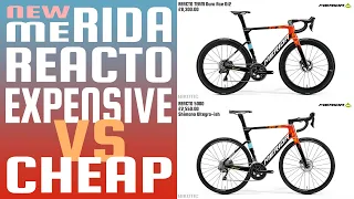 NEW MERIDA REACTO EXPENSIVE VS CHEAP | BIKOTIC