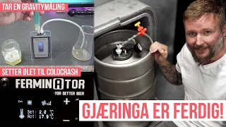 Final Gravity Og Cold Crash: Vørter Blir Til ØL! | Summer Sipper ep 2 | Ølbrygging