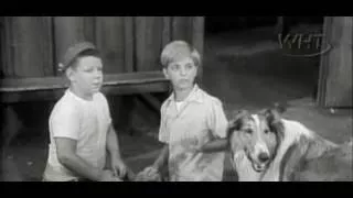 Lassie S02e14 Gramps Brithday