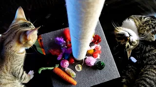 Cat Scratch Post & Toy Bundle - Installation & Review