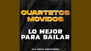 CUARTETOS MOVIDOS | Lo MEJOR para BAILAR