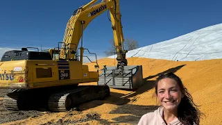 Excavator Clean Up