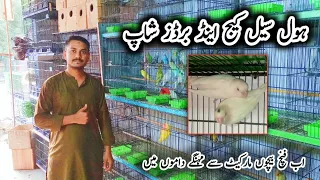 Visit Wholesale Birds and cage shop and all birds accessories At nishan e haider Karachi