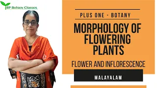 Class 11 | Morphology of Flowering Plants | Flower and Inflorescence | Botany | Malayalam