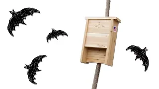 Find the best bat house & where NOT to place it