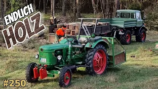 Endlich HOLZ  🔥| UNIMOG und DEUTZ an der Front - Der Brennstoff muss nach Hause | #vlog 250