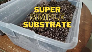 Easy Bulk Substrate How to Make Coco Coir Vermiculite Soil to Grow Mushrooms | Home Mycology