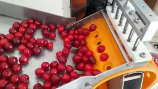 cherry destoning machine