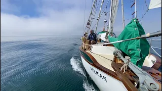 Shakedown cruise aboard our new Westsail 32 !  We sail California's West Coast from Bodega Bay to SF
