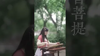 古琴《清音菩提》 Chinese folk musical instrument GuQin performance