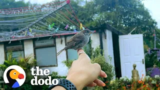 Woman Rescues Tiny Baby Sparrow Smaller Than AirPods Case | The Dodo