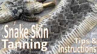Snake Skin Tanning and Preserving -How To -