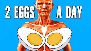 What Happens To Your Body When You Start Eating 2 Eggs Every Day