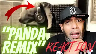 FIRST TIME LISTEN | 16 YEAR OLD KILLS PANDA REMIX!!! | REACTION!!!!