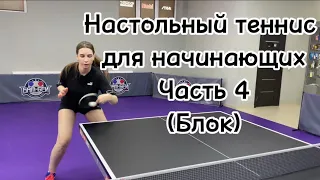 Настольный теннис для начинающих🏓 #tabletennis #настольныйтеннис #pingpong #playing #russia
