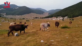 Velebit: Alan