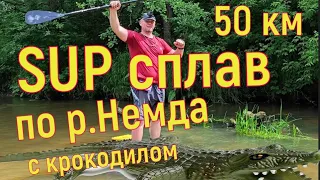 SUP сплав с Геннадием по р. Немда 50 км. 2023 г.