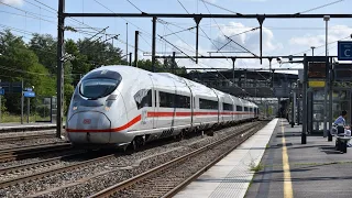 Trains at Vaires Torcy | PE - S + Transilien Line P - 19/08/2019
