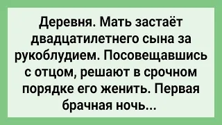 Как Родители Решили Сына Женить! Сборник Свежих Смешных Жизненных Анекдотов!