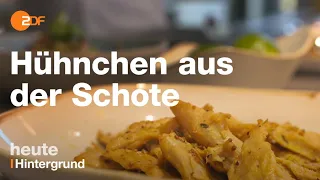 Fleisch ohne Tierleid: Forscher entwickeln Hühnchen-Ersatz aus Erbsen, Öl und Wasser