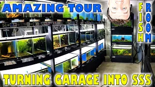 Fish Room Tour 2021 - Turning the Garage into MONEY - Part 2