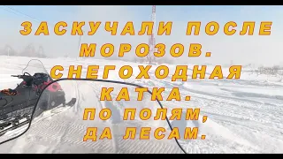 Заскучали после морозов/Снегоходная катка/По полям, да лесам.