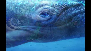 🙏528 Hz Connect to the Whales Beautiful Love Song Ascension Transmission (Blue Ray  Frequency)