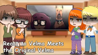Scooby-Doo React to Velma Meets the Original Velma | Gacha Talking