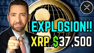 Bitcoin Whales Accumulating, Big Move Ahead! XRP ETF Expected Early 2025! 9 Trillion in Sight