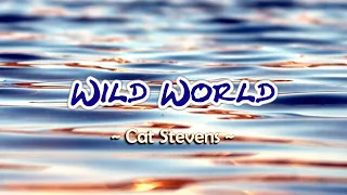 Wild World - KARAOKE VERSION - as popularized by Cat Stevens