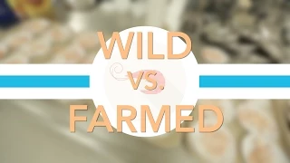 Farmed vs. Wild Shrimp: Which Tastes Better? | Consumer Reports