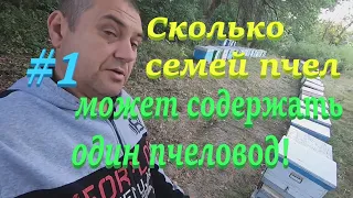 ✅ Сколько семей ПЧЕЛ могу СОДЕРЖАТЬ я САМ без помощников...?! #ПЧЕЛОВОДСТВО1 начинающим с нуля!