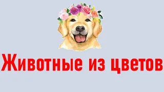 Животные из цветов