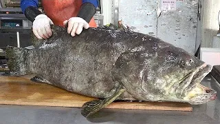 $1000 Whole Giant Grouper Cutting and Cooking /奢華巨大石斑魚料理 -Taiwanese Street Food